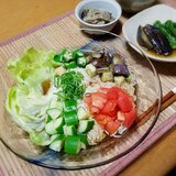 こんにゃく麺・夏野菜そうめん